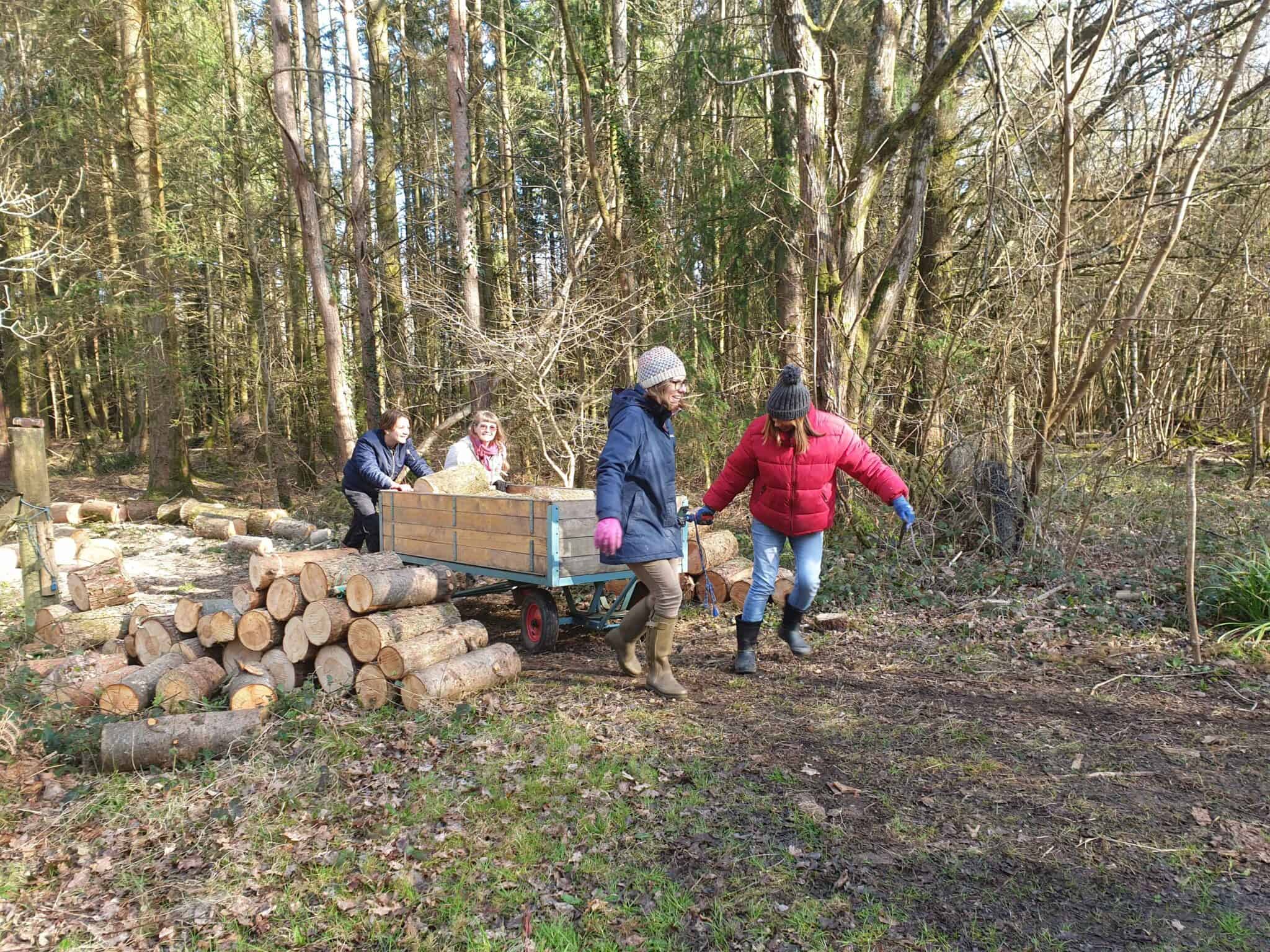 Pulling the log cart