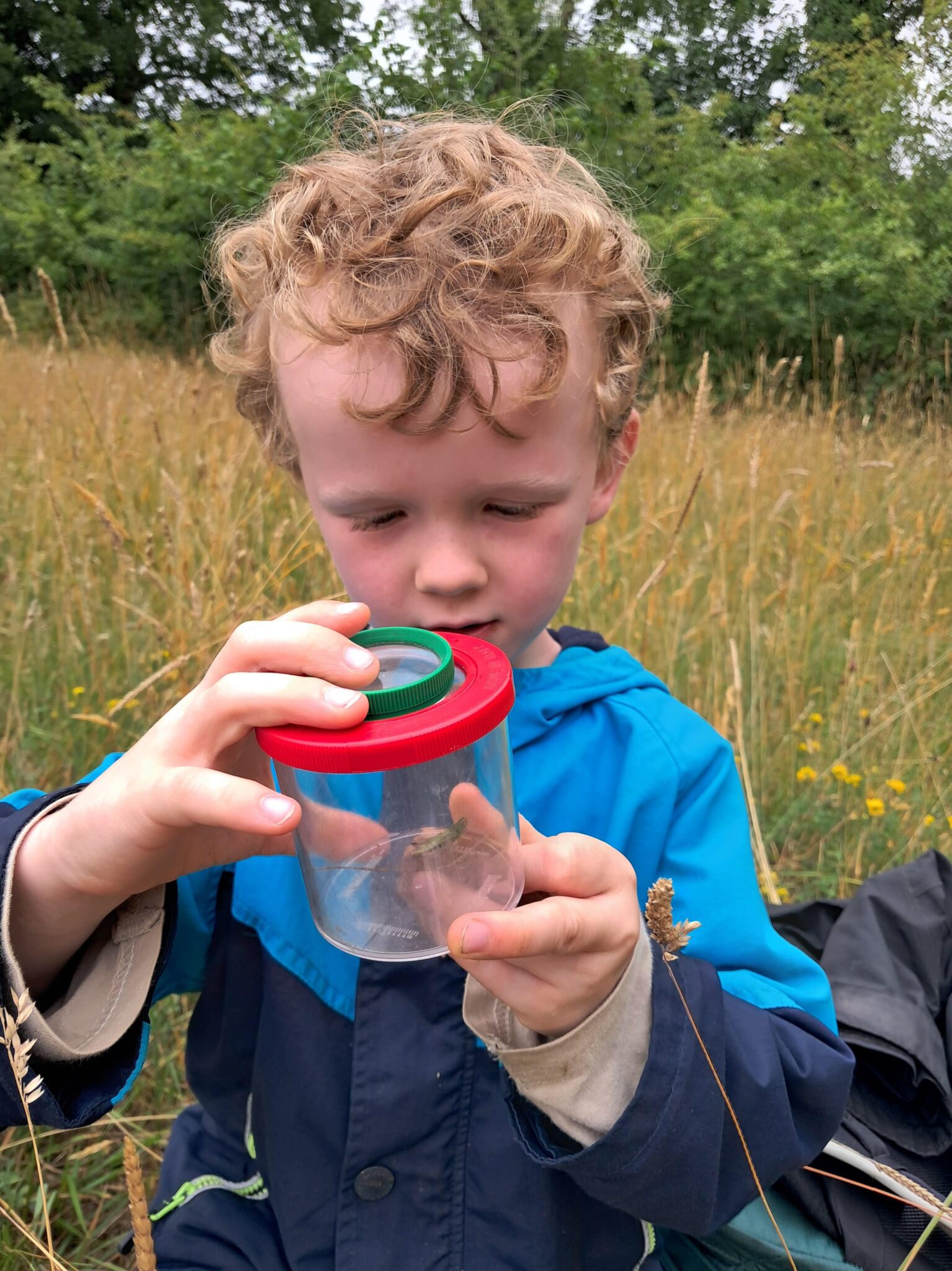 Bug hunting in the meadow