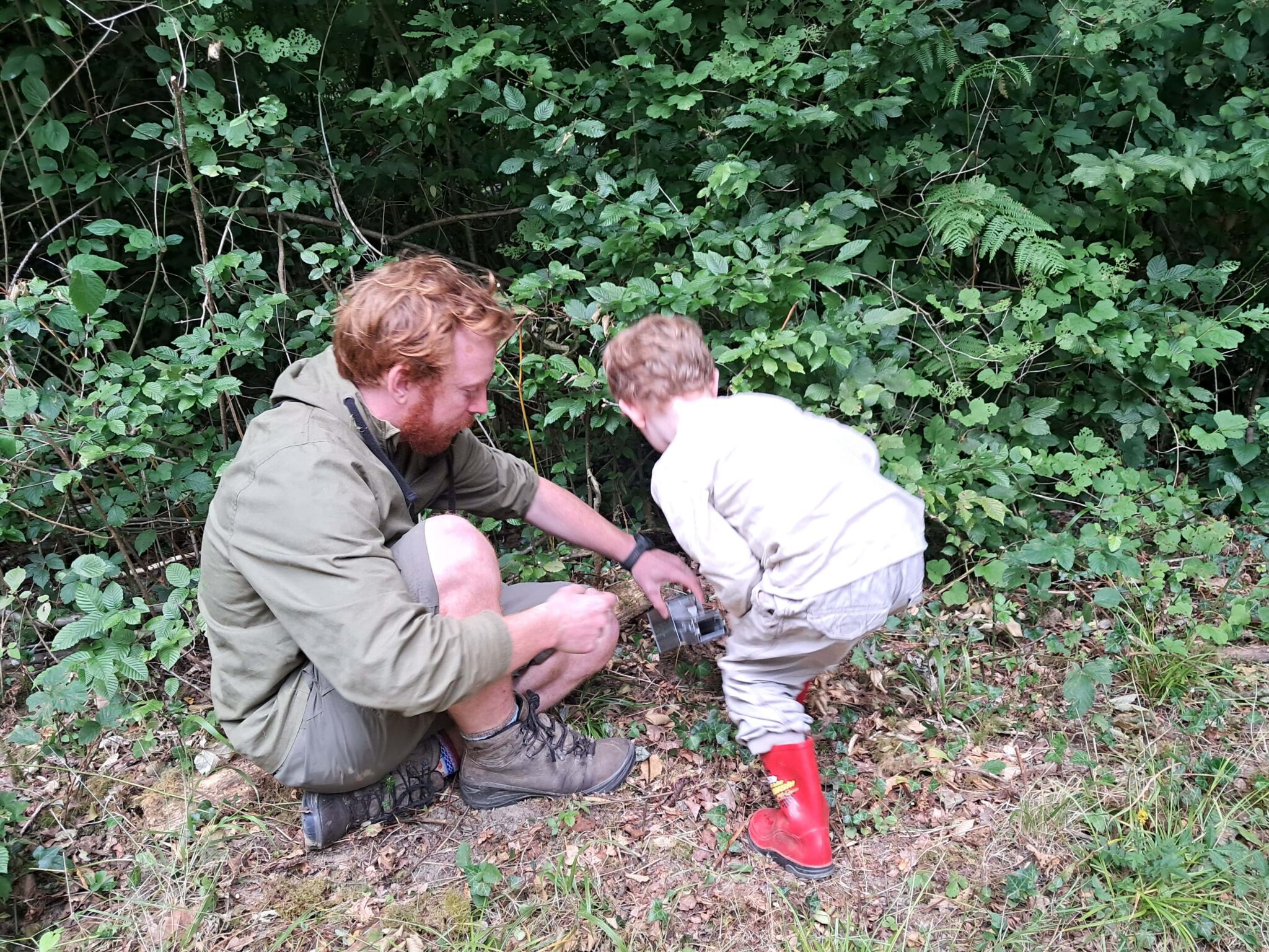 Checking small mammal traps