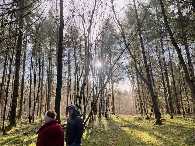 Blossoming You with Wild Way Retreats — 16th – 19th April ’26