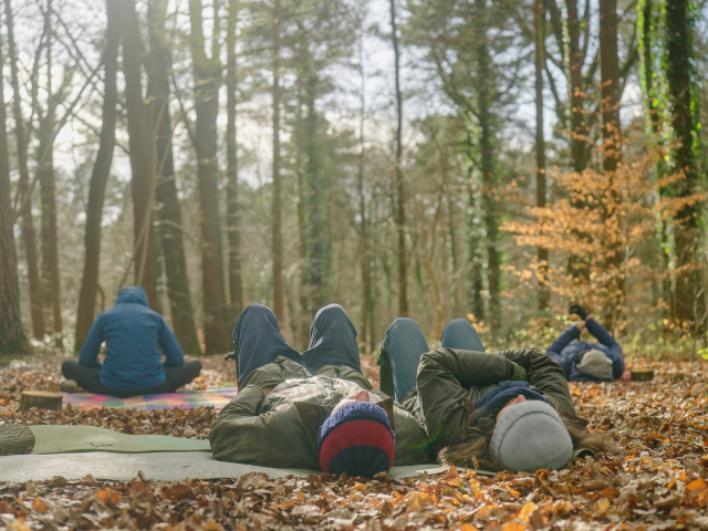 people relax and lie on the forest floor looking at the sky and canopy