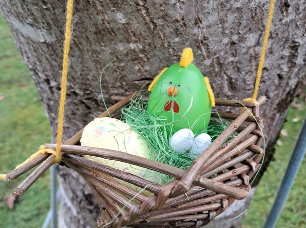 a woven basket in a tree with a happy brightly coloured bird and eggs