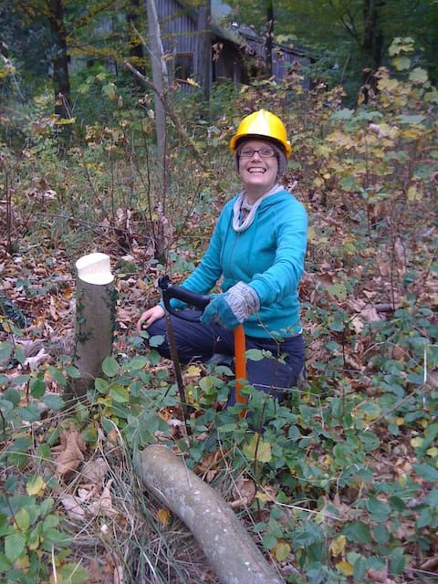 Photo shows a volunteer wearing a turquoise hoody and yellow hard hat crouching next to the 10cm-wide stump of a freshly felled sycamore tree