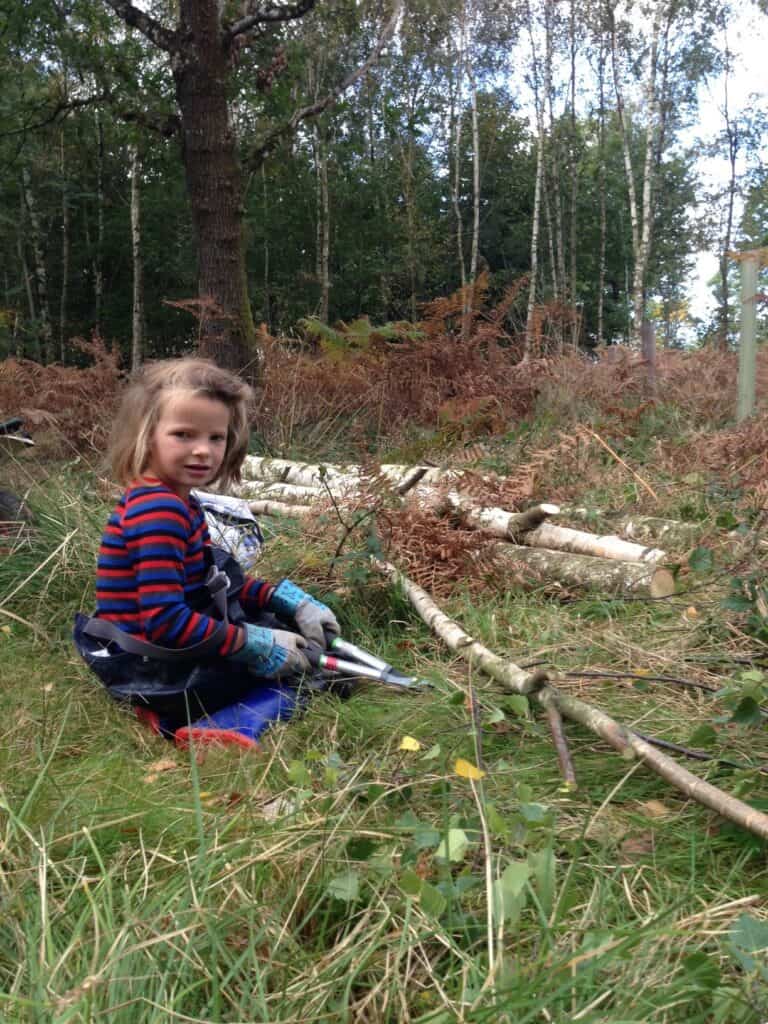 Child crouching by felled silver birch, while holding a small pair of loppers.