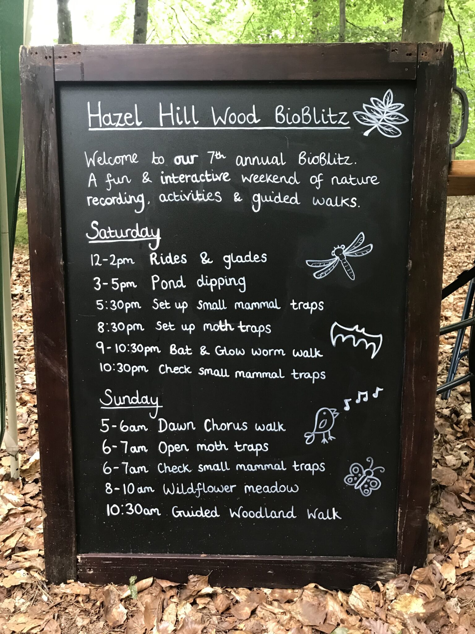 BioBlitz schedule