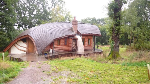 Photo of the Forest Ark, looking freshly built. A curved building that looks like half an up-turned rowing boat. It has sweeping organic forms and a deck that winds its way around.