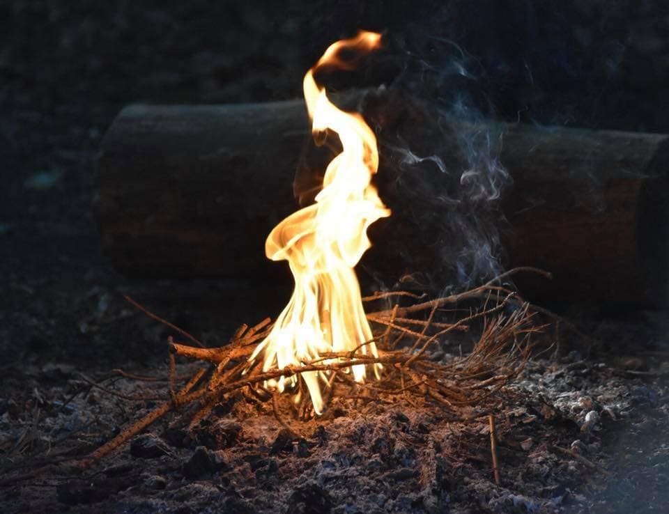 Photo by Michelle Scarrett