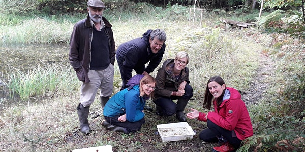 Pond dipping