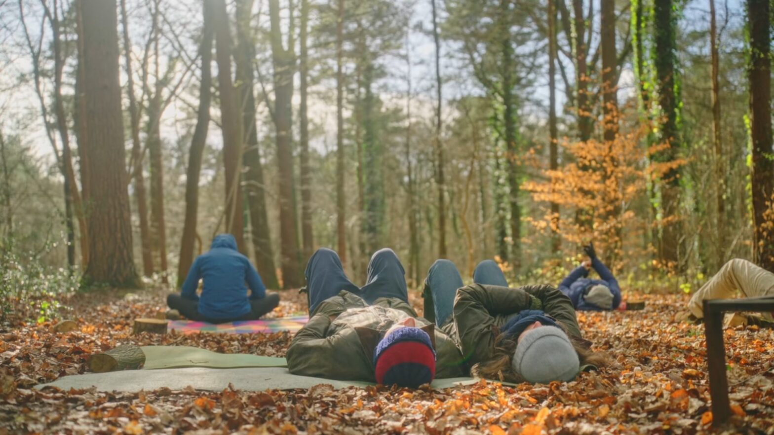 people relaxing by lying on the forest floor looking up at the canopy and sky