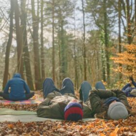 people relaxing by lying on the forest floor looking up at the canopy and sky