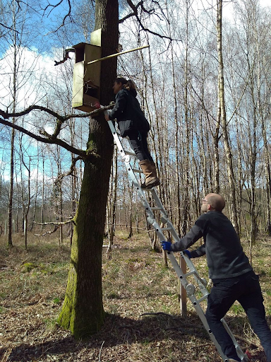 Bird nest box survey